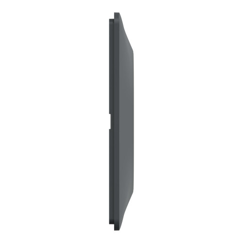 Plaque simple Ovalis, SCHNEIDER ELECTRIC, anthracite bague effet laiton - SCHNEIDER ELECTRIC
