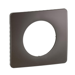 Support pour interrupteur et prise simple Céliane, LEGRAND, gris cendré - LEGRAND