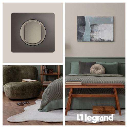 Support pour interrupteur et prise simple Céliane, LEGRAND, gris cendré - LEGRAND