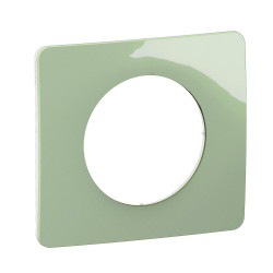 Support pour interrupteur et prise simple Céliane, LEGRAND, vert céladon - LEGRAND