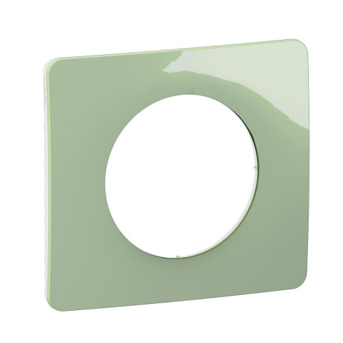 Support pour interrupteur et prise simple Céliane, LEGRAND, vert céladon - LEGRAND