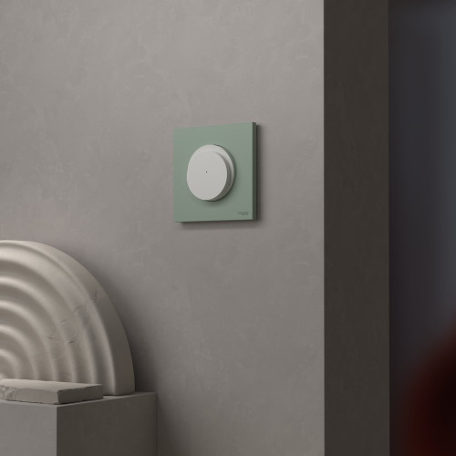 Plaque simple Odace, SCHNEIDER ELECTRIC, vert jade - SCHNEIDER ELECTRIC