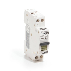 Disjoncteur phase + neutre DOMOLEC 20 A de marque DOMOLEC, référence: B9995500