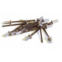 100 rivets étanches alu/acier (tête plate) Ø 3,2 x 8 mm de marque TECHMAN, référence: B1727200