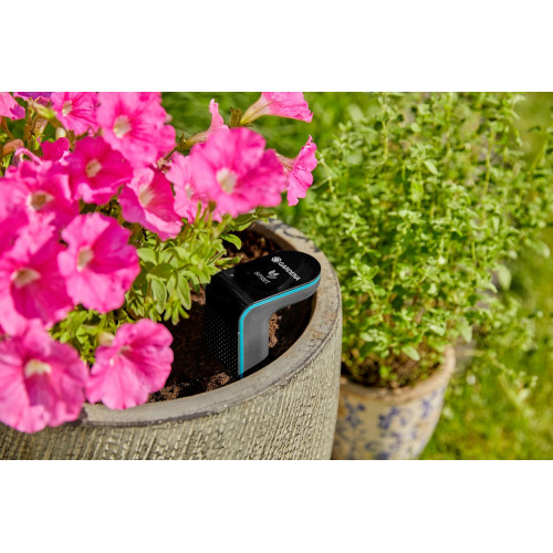Smart Sensor - capteur d'humidité, témpérature et de lumière - GARDENA