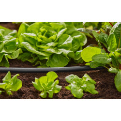 Tuyau de raccordement de micro-irrigation Ø 13 mm - 50 m - GARDENA