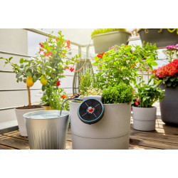 Solution d'arrosage automatique solaire aquaBloom - GARDENA