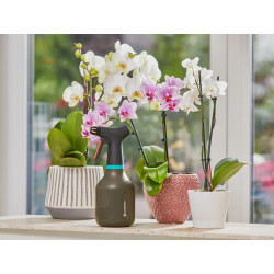 Pulvérisateur à gâchette 0,75L - GARDENA
