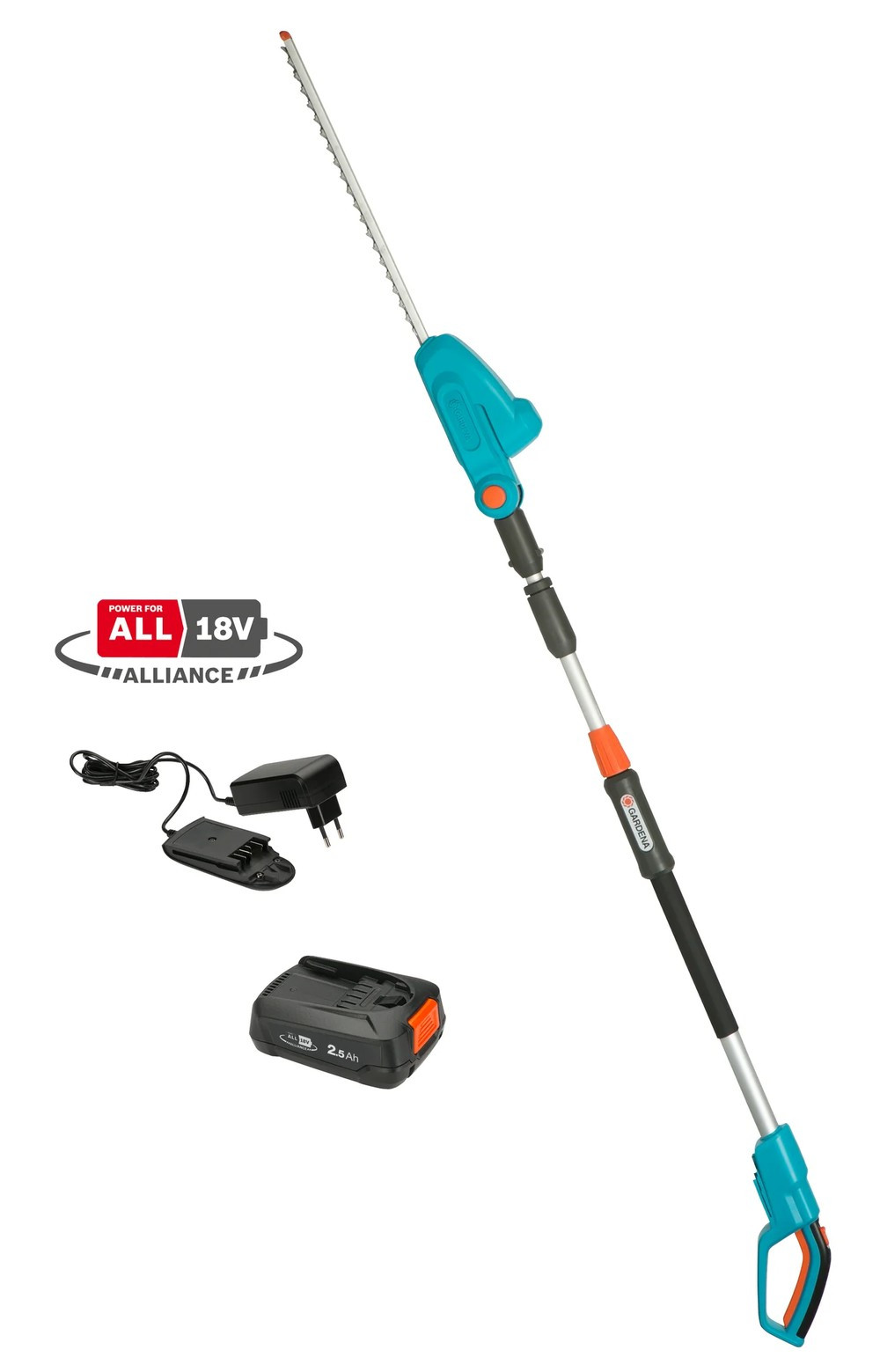 Taille-haies sur perche THS 42/18V P4A