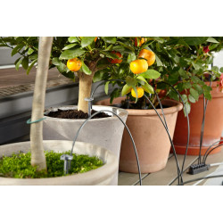 Arrosoir automatique de vacances pour plantes en pots - GARDENA
