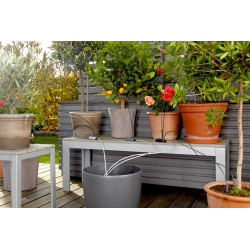 Arrosoir automatique de vacances pour plantes en pots - GARDENA