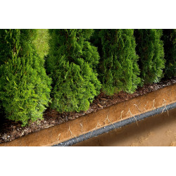 Tuyau arroseur microporeux 15 m - GARDENA