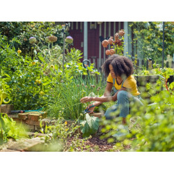 Sécateur ExpertCut à lame franche - lames affûtées trempées - coupe Ø 22mm - GARDENA