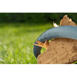 Kit tuyau Liano™Xtreme 25m, Ø 13mm + pièces GARDENA System - ultra résistant - GARDENA