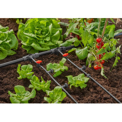 Goutteurs en ligne régulateur de pression 2 l/h - Boîte de 10 pièces - GARDENA
