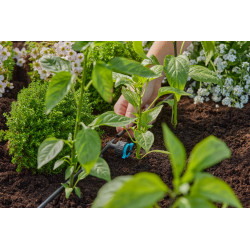 Goutteurs en ligne réglable et régulateur de pression 1 - 8 l/h - Boîte de 5 pièces - GARDENA