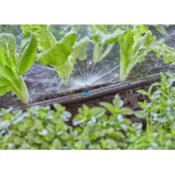 Micro-asperseurs 180° Micro-Drip-System - Boîte de 5 pièces - GARDENA