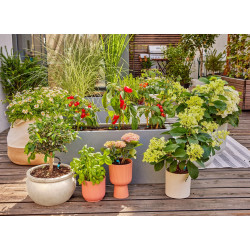 Kit d'initiation goutte-à-goutte pour terrasse jusqu'à 30 plantes Micro-Drip-System - GARDENA