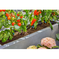 Kit d'initiation goutte-à-goutte pour terrasse jusqu'à 30 plantes Micro-Drip-System - GARDENA