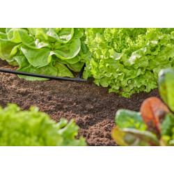 Dérivations en T pour tuyau à goutteurs incorporés 4,6 mm - Boîte de 5 pièces - GARDENA