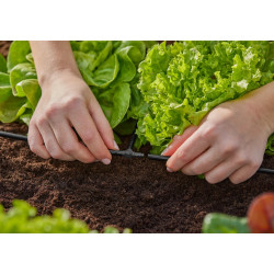 Dérivations en T 4.6 mm - Easy & Flexible - Boîte de 10 pièces - GARDENA