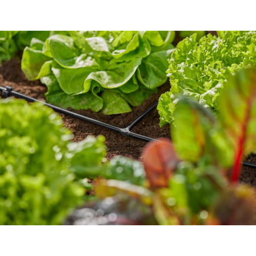Dérivations en T 4.6 mm - Easy & Flexible - Boîte de 10 pièces - GARDENA