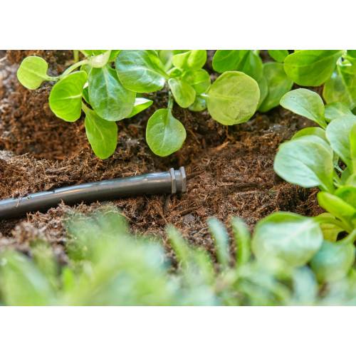 Bouchon du tuyau 4,6 mm (3/16") - Easy & Flexible - Boîte de 10 pièces - GARDENA