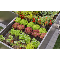 Bouchon du tuyau 4,6 mm (3/16") - Easy & Flexible - Boîte de 10 pièces - GARDENA