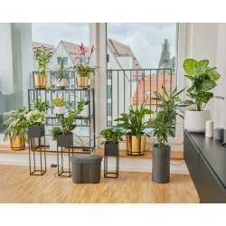Réservoir d'eau 10,5 l - GARDENA
