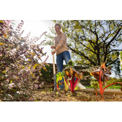 Griffe piocheuse 9 cm - PureLine - manche bois FSC et dents acier - GARDENA