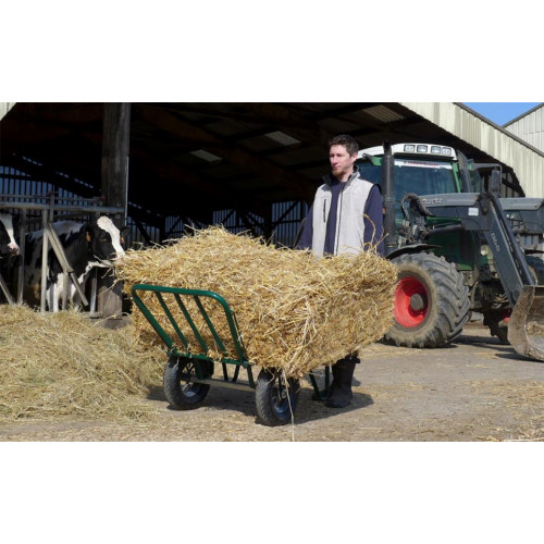 Brouette Agricola Twin 2 roues gonflées Ø 400 mm - châssis tubulaire - HAEMMERLIN