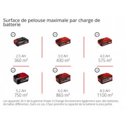 Tondeuse à gazon sans fil - GC-CM 36/51 S Li BL 36 V - 51 cm - 2 batteries 5,2 Ah - EINHELL 