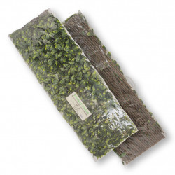 Treillis extensible - avec feuillage artificiel imitation laurier amande - hauteur 1 m - largeur 3 m - Lm Green