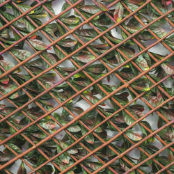Treillis extensible - avec feuillage artificiel imitation photinia - 1 x 2 m - Lm Green
