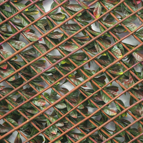Treillis extensible - avec feuillage artificiel imitation photinia - 1 x 2 m - Lm Green