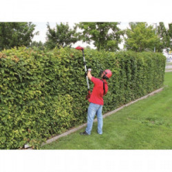 Outil multifonction sans fil – GE-HC 18 Li T Kit – Taille-haies et élagueuse sur perche – Batterie 18 V 3,0 Ah - EINHELL 