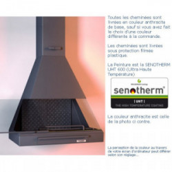 Cheminée frontale avec porte + Base et Foyer fonte CH88 - anthracite - FOCGRUP