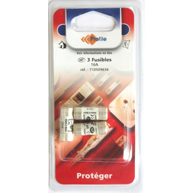 3 FUSIBLES 10.3x25.8mm - 16A