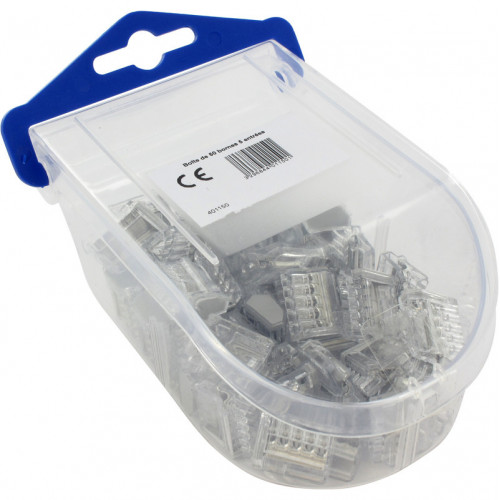 Boîte de 100 bornes transparentes avec 5 entrées - BLM