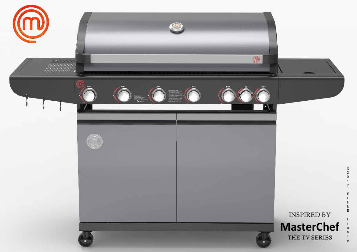 Barbecue à gaz 6 brûleurs