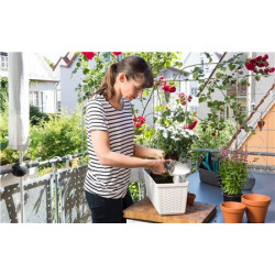 Sécateur à herbes et à fleurs - GARDENA