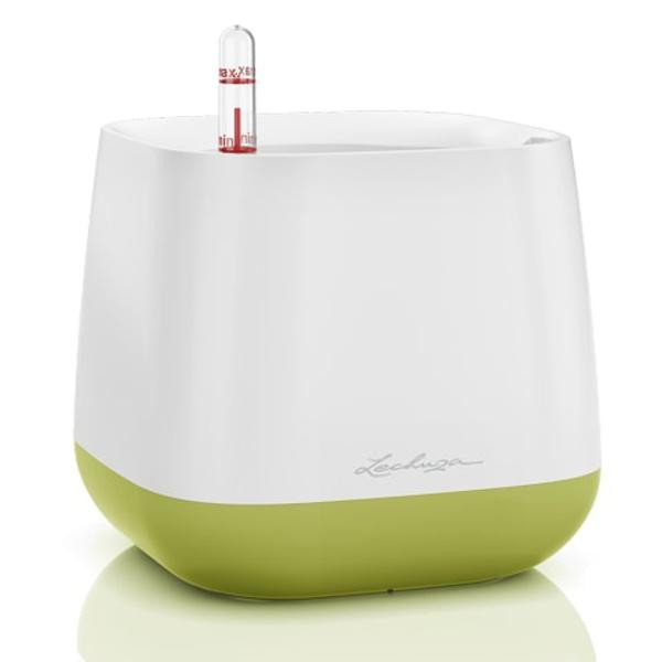 Pot de table YULA blanc-vert reserve de 0,5 L 17 cm