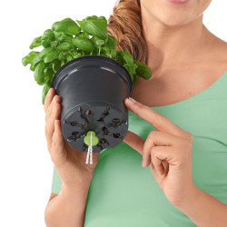 Pot Balconissima Color, gris ardoise alimentation par mèche 40 cm - LECHUZA