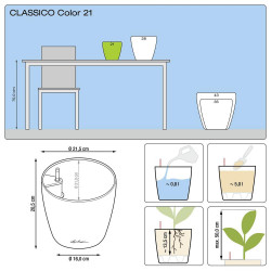 Classico Color 21 - kit complet, muscade Ø 21 x 20 - LECHUZA