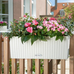 Pot Balconera Cottage 50 - kit complet, blanc - 50 cm - LECHUZA