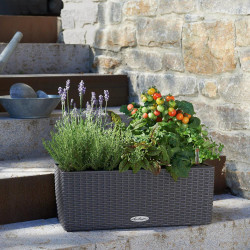 Pot Balconera Cottage 50 - kit complet, granit - 50 cm - LECHUZA