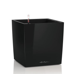 Cube Premium 30 - Kit Complet, noir brillant 30 cm - LECHUZA