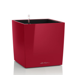 Cube Premium 30 - Kit Complet, rouge scarlet brillant 30 cm - LECHUZA