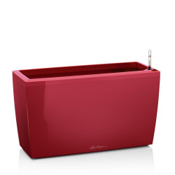 Cararo Premium - kit complet, rouge Scarlet brillant 75 cm - LECHUZA