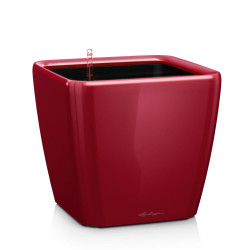 Pot Quadro Premium LS 21 - kit complet, rouge scarlet brillant 21 cm de marque LECHUZA, référence: J4594500